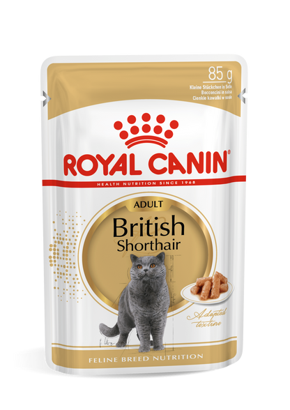 ROYAL CANIN British Shorthair Adult Thin Slices In Gravy - Wet Cat Food 12x85g