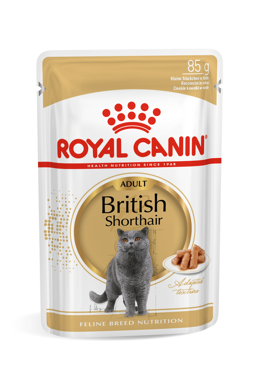 ROYAL CANIN British Shorthair Adult - Влажный корм для кошек, кусочки в соусе, 12x85 г