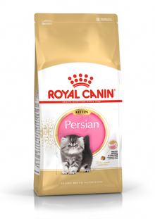 Persian Kitten dry cat food