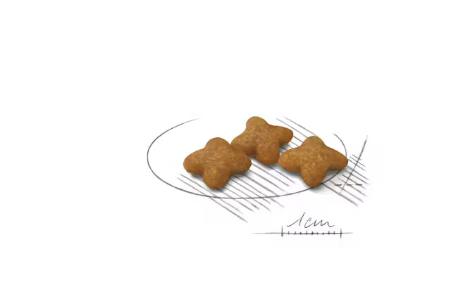 Royal Canin X-Small Sterilised – sausas pašaras sterilizuotiems labai mažų veislių šunims