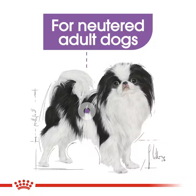 Royal Canin X-Small Sterilised – sausas pašaras sterilizuotiems labai mažų veislių šunims
