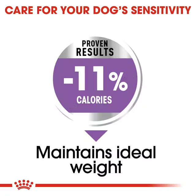 Royal Canin X-Small Sterilised – sausas pašaras sterilizuotiems labai mažų veislių šunims