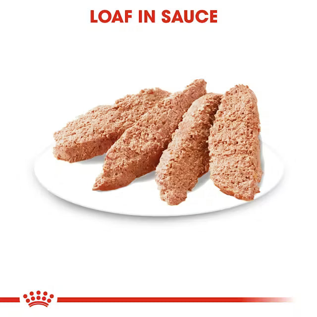 Royal Canin Coat Care Loaf