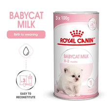 BABYCAT MILK - Preparat mlekozastępczy dla kotów