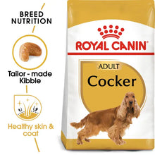 Cocker Adult sausas pašaras šuniui