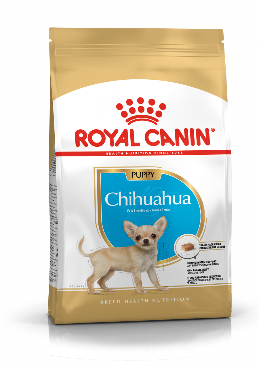 Chihuahua Puppy sausas pašaras šuniui