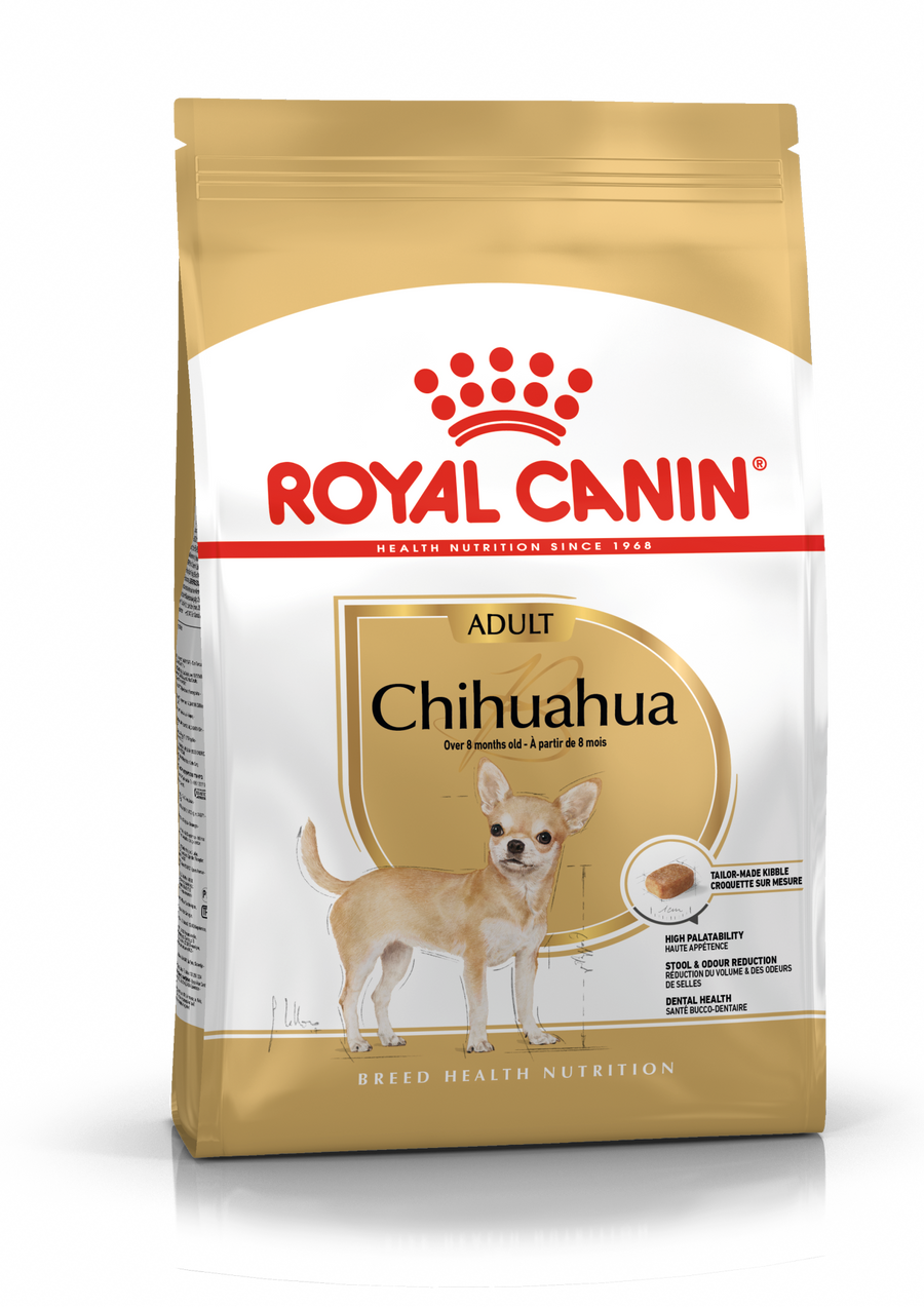 Chihuahua Adult sausas pašaras šuniui