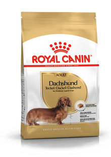 Dachshund Adult dry dog ​​food
