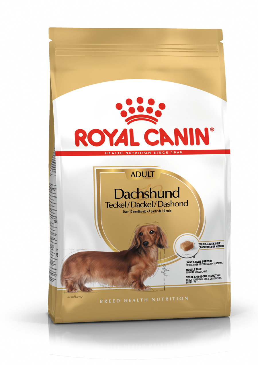 Dachshund Adult dry dog ​​food