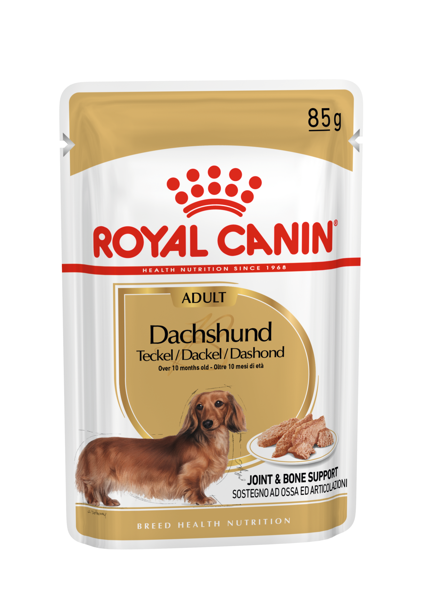 Dachshund wet dog food