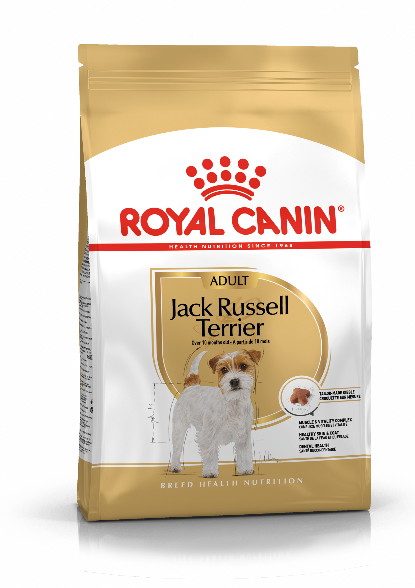 Sucha karma dla dorosłych psów Jack Russel