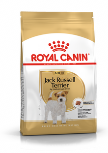 Sucha karma dla dorosłych psów Jack Russel