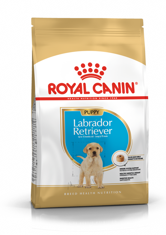 Labrador Retriever Puppy dry dog ​​food