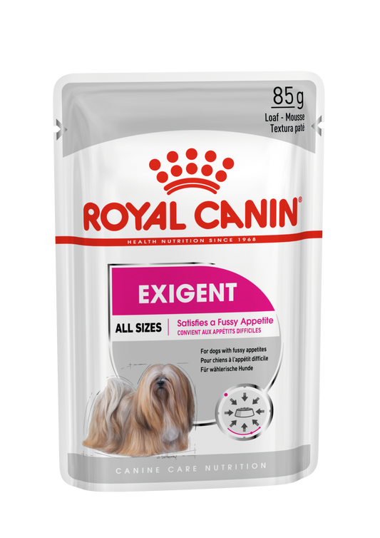 Royal Canin Exigent Loaf karma mokra dla psów 12x85g