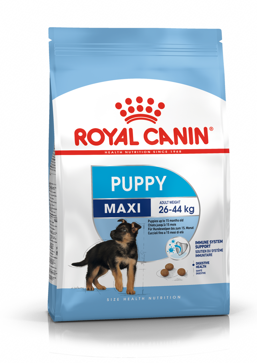 Royal Canin Maxi Puppy  sausas pašaras - Didelių veislių šuniukams