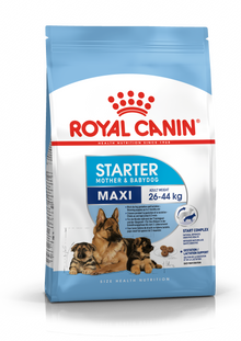 Royal Canin Starter Mother & Babydog Maxi sausas pašaras - Didelių veislių kalėms ir šuniukams