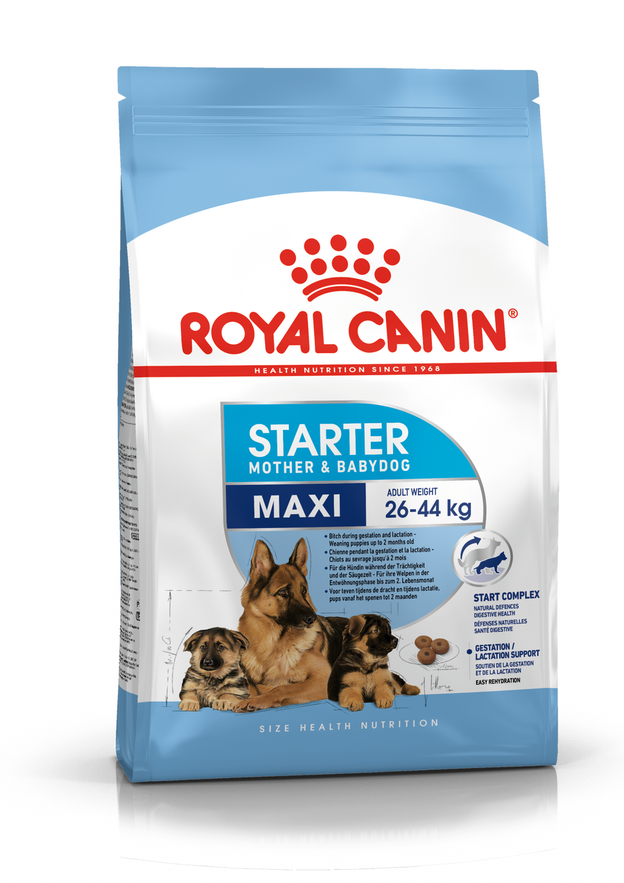 Royal Canin Starter Mother & Babydog Maxi sausas pašaras - Didelių veislių kalėms ir šuniukams