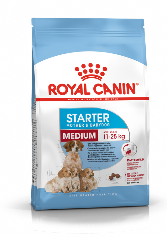 Royal Canin Starter Mother &amp; Babydog Medium sucha karma - Dla suk i szczeniąt ras średnich