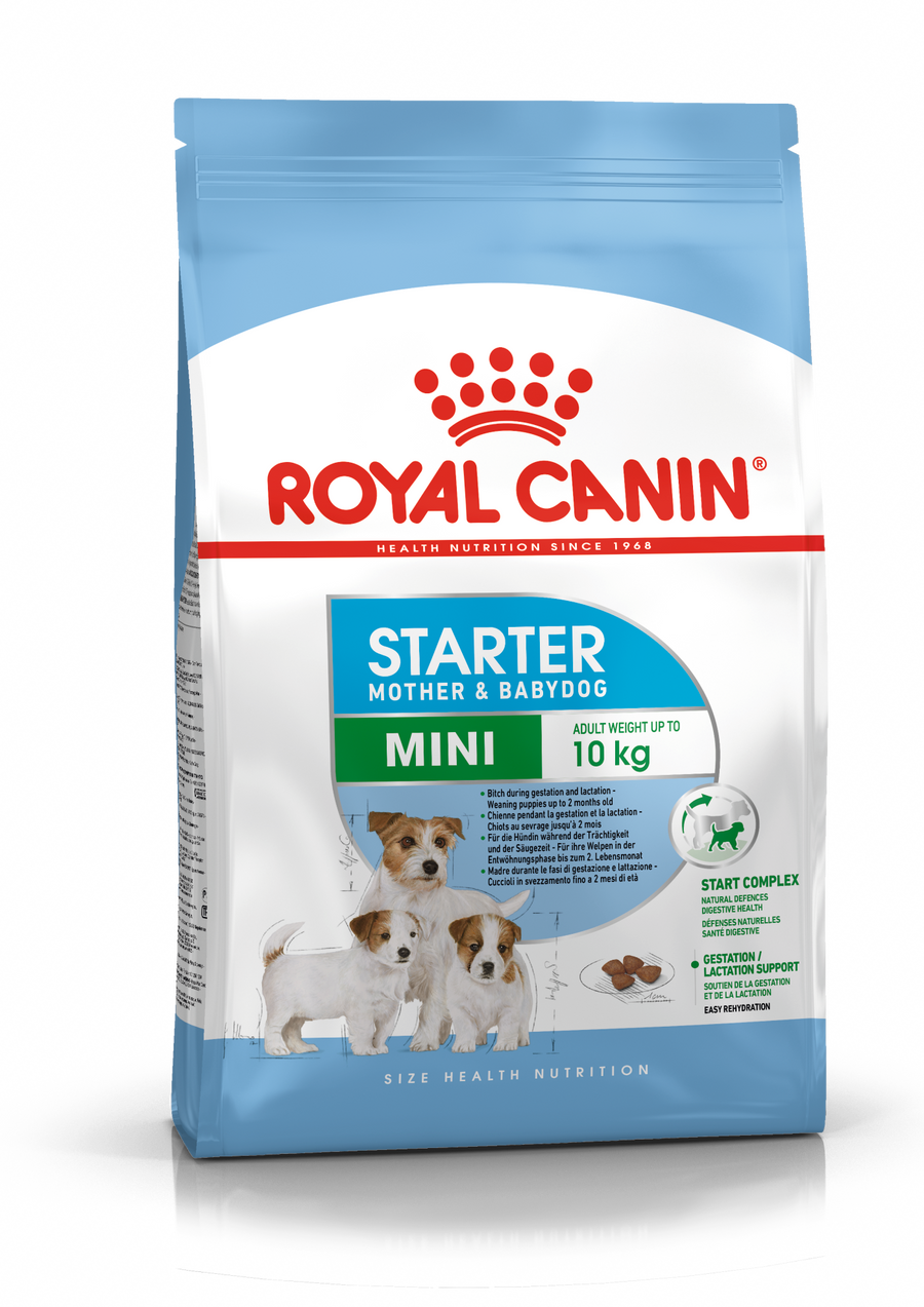 Royal Canin Mini Starter Mother & Babydog - Sausas pašaras šuniui
