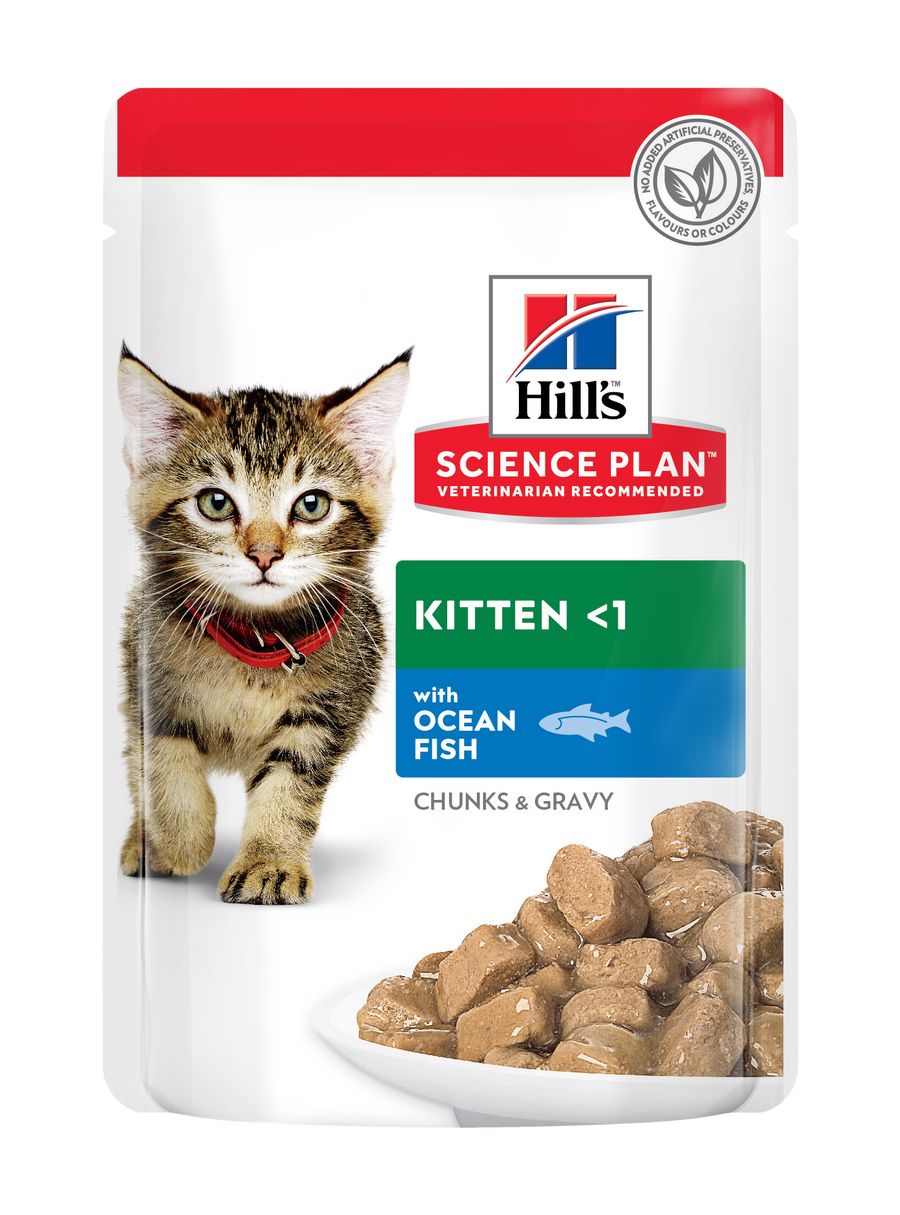 Hill's Science Plan kačiukams su vandenyno žuvimi 12x85 g guliašai