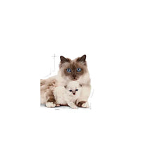 MOTHER &amp; BABYCAT dry cat food