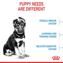 Royal Canin Maxi Puppy  sausas pašaras - Didelių veislių šuniukams