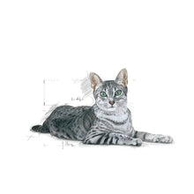 Indoor 7+ dry cat food