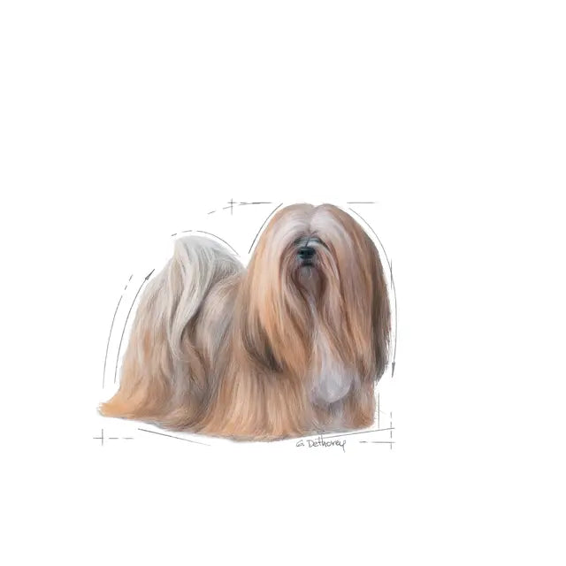 Mini Exigent dry dog ​​food
