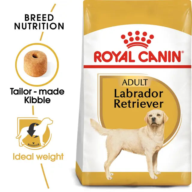 Sucha karma dla dorosłych psów rasy Labrador Retriever