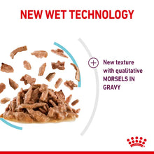 ROYAL CANIN SENSORY™ FEEL Morsels in Gravy - Wet Food for Adult Cats 12x85g