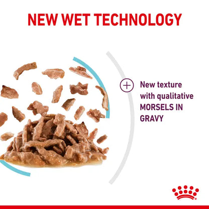ROYAL CANIN SENSORY™ FEEL Morsels in Gravy - Wet Food for Adult Cats 12x85g