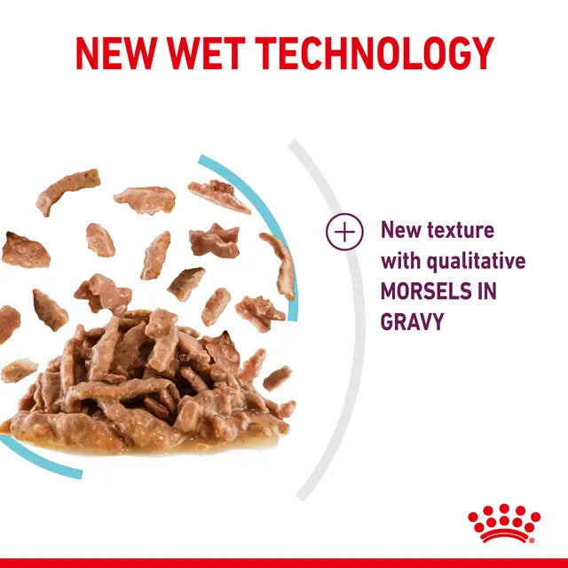 ROYAL CANIN SENSORY™ FEEL Morsels in Gravy - Wet Food for Adult Cats 12x85g