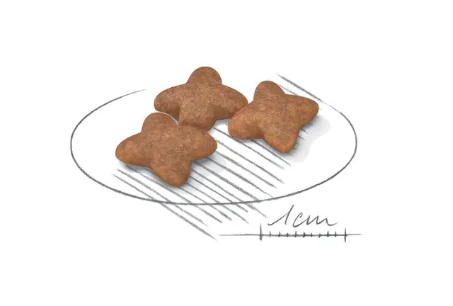 Royal Canin MINI Adult sausas pašaras šuniui
