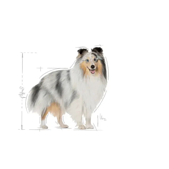 Royal Canin Coat Care Loaf