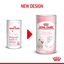 BABYCAT MILK - Preparat mlekozastępczy dla kotów