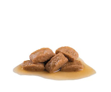 ROYAL CANIN Maxi Adult Chunks In Gravy - Mokra Karma dla Dorosłych Psów Ras Dużych 10x140g