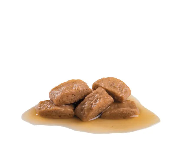ROYAL CANIN Maxi Adult Chunks In Gravy - Mokra Karma dla Dorosłych Psów Ras Dużych 10x140g