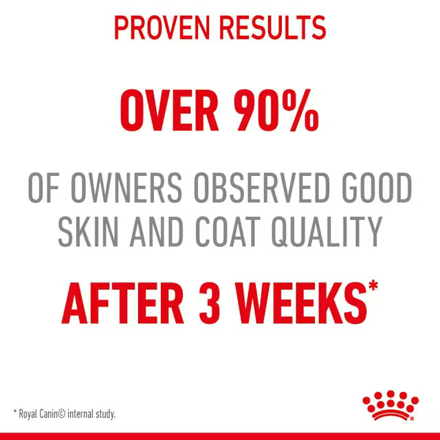ROYAL CANIN Hair & Skin Care Loaf - Wet Cat Food 12x85g