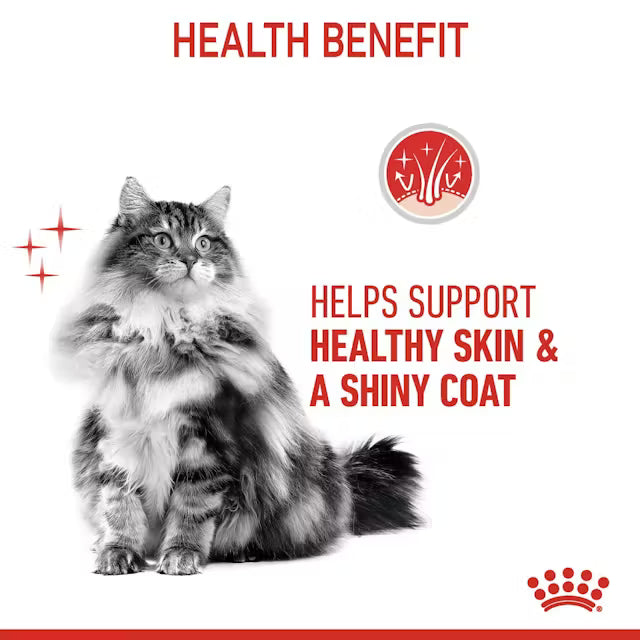 ROYAL CANIN Hair & Skin Care Gravy - Drėgnas Pašaras Suaugusioms Katėms 12x85g