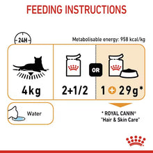 ROYAL CANIN Hair & Skin Care Gravy - Drėgnas Pašaras Suaugusioms Katėms 12x85g
