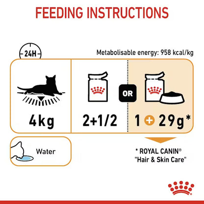 ROYAL CANIN Hair &amp; Skin Care Gravy - Wet Food for Adult Cats 12x85g
