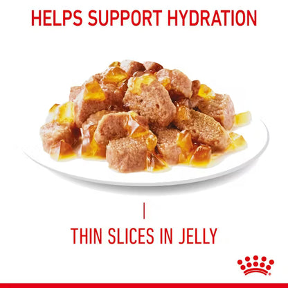 ROYAL CANIN Urinary Care Thin Slices In Jelly - Drėgnas Pašaras Katėms 12x85g