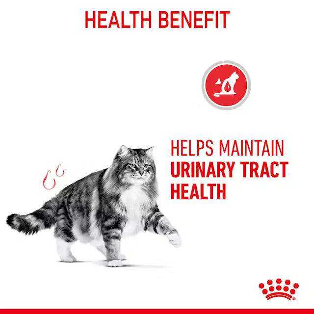 ROYAL CANIN Urinary Care Thin Slices In Jelly - Drėgnas Pašaras Katėms 12x85g