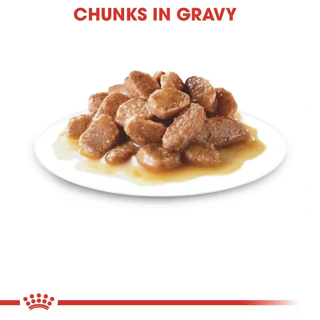 ROYAL CANIN Instinctive 7+ Chunks In Gravy - Wet Food For Senior Cats 12x85g