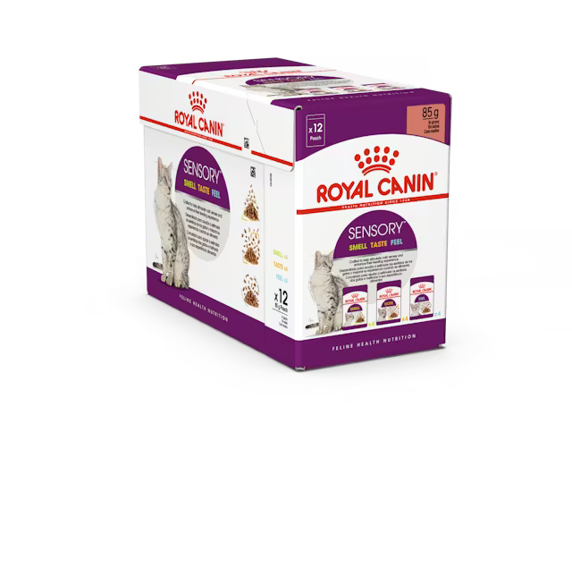 ROYAL CANIN Sensory Multi Chunks In Gravy - Drėgnas Pašaras Suaugusioms Katėms 12x85g