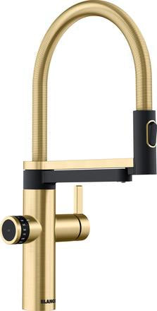 EVOL-S PRO FILTER Satin gold HD