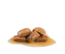 ROYAL CANIN Maxi Ageing 8+ Gravy - Drėgnas Pašaras Dideliems Vyresnio Amžiaus Šunims