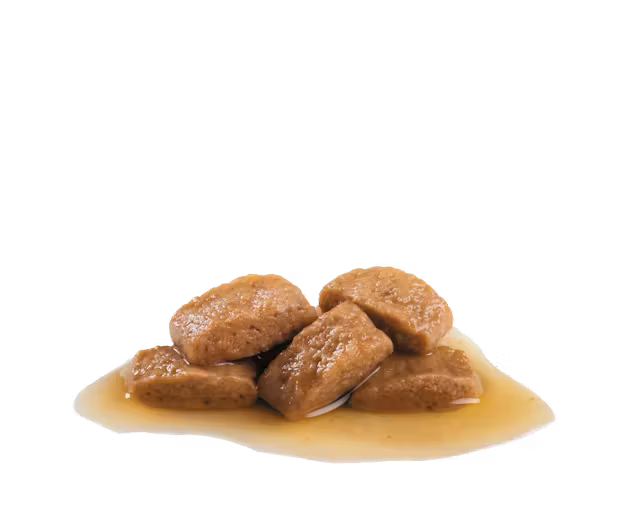 ROYAL CANIN Maxi Ageing 8+ Gravy - Drėgnas Pašaras Dideliems Vyresnio Amžiaus Šunims