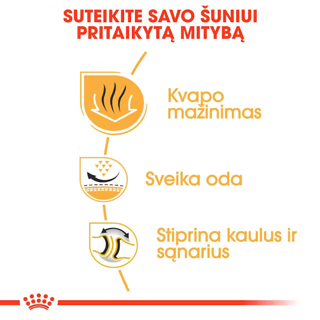 Royal Canin Bulldog Adult - sucha karma dla psów
