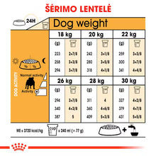 Royal Canin Bulldog Adult - sucha karma dla psów